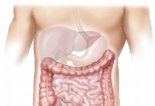 Do Not Neglect The Liver